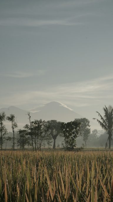 vakantie lombok